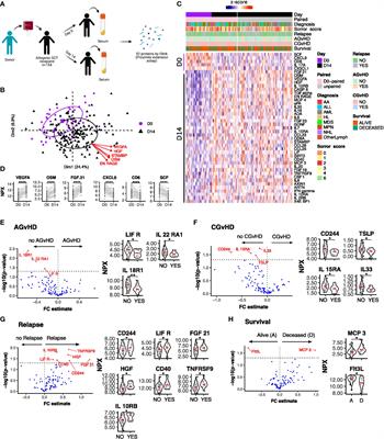 Early inflammatory markers as prognostic indicators following allogeneic stem cell transplantation